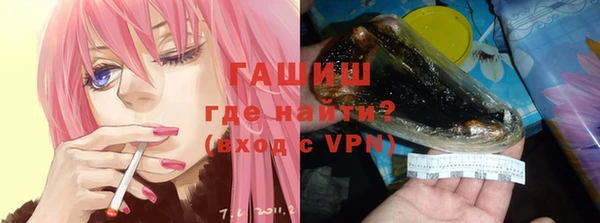 хмурый Мегион