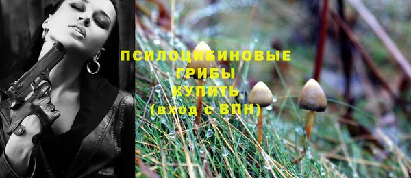 гашишное масло Михайлов