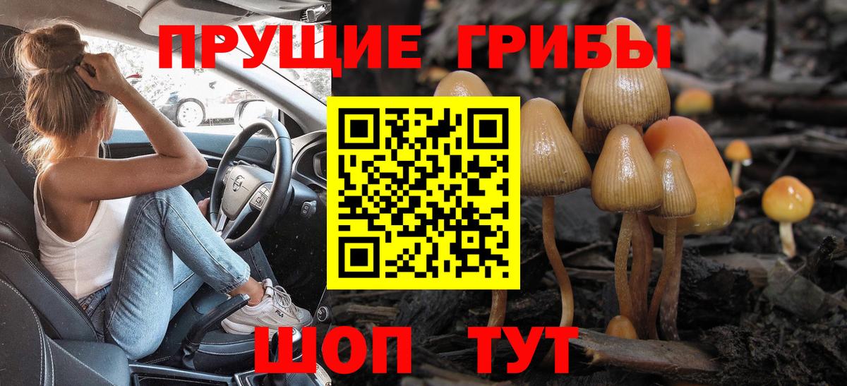 Фурманов  Псилоцибиновые грибы Psilocybe  Псилоцибиновые грибы Cubensis  Вход с VPN 