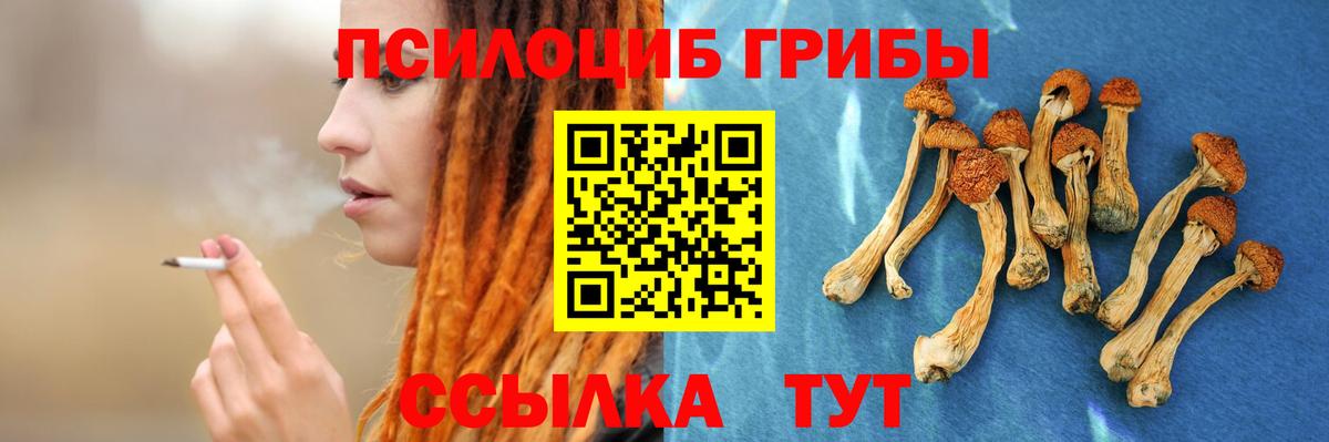 Псилоцибиновые грибы GOLDEN TEACHER Фурманов