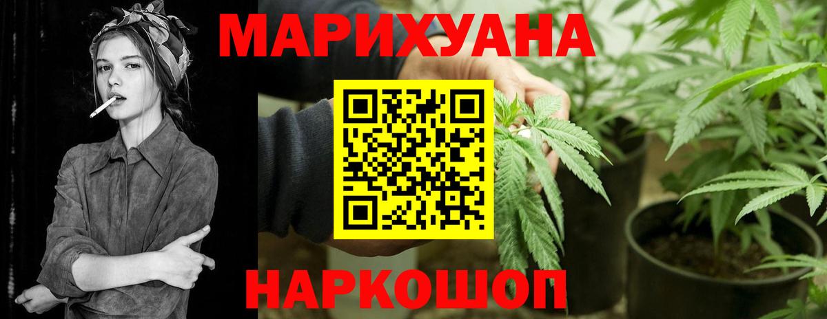 Конопля сатива  Бошки марихуана план  Бошки марихуана White Widow  Вход с VPN  Фурманов 